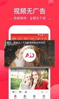 西瓜视频影视爆料王,影视行业最新动态揭秘  第1张