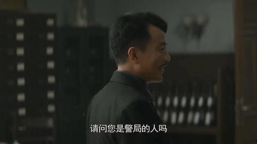 隐秘来客中字在线观看,揭秘神秘人物背后的惊心动魄故事  第2张