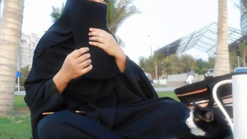 娱乐吃瓜君干嘛了,揭秘他为何成为焦点人物  第1张